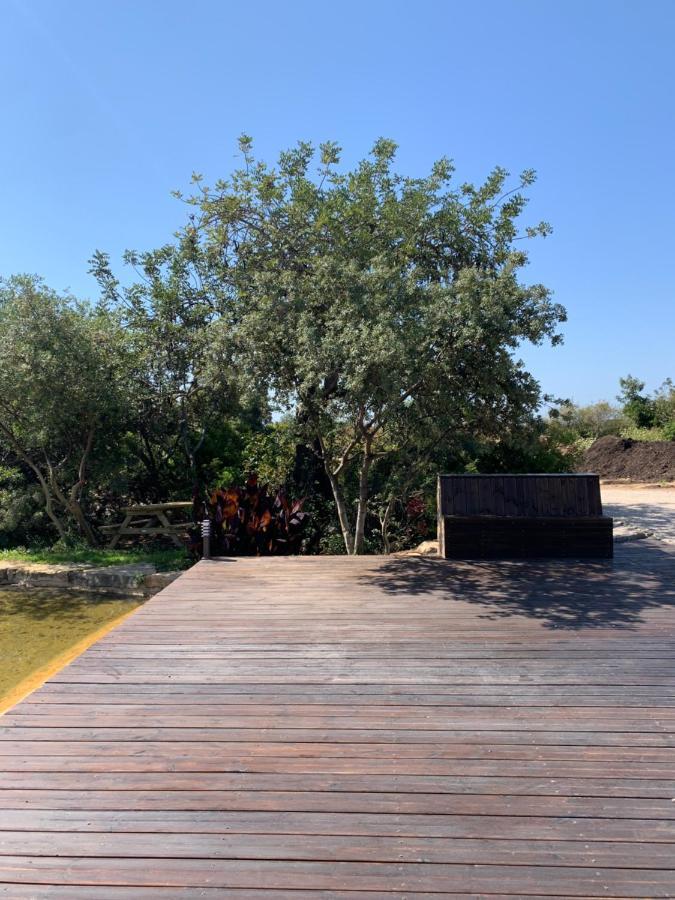 Casa Branca Guest House Tavira Ngoại thất bức ảnh